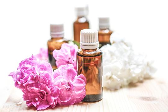 6 natural oils for healthy skin - Blog - StellaWrites